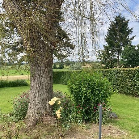 Chambre D Hote Olne Exterior foto